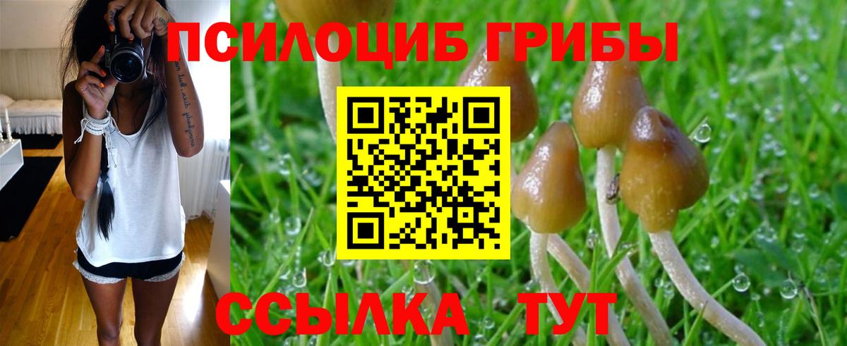 Конопля  ТГК  Экстази  Мурино  ГАШ  Вход с VPN  MDMA  МЕФ  